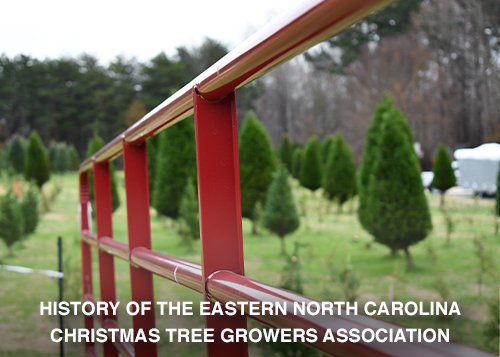 ENCCTGA History of Christmas Trees in Eastern North Carolina