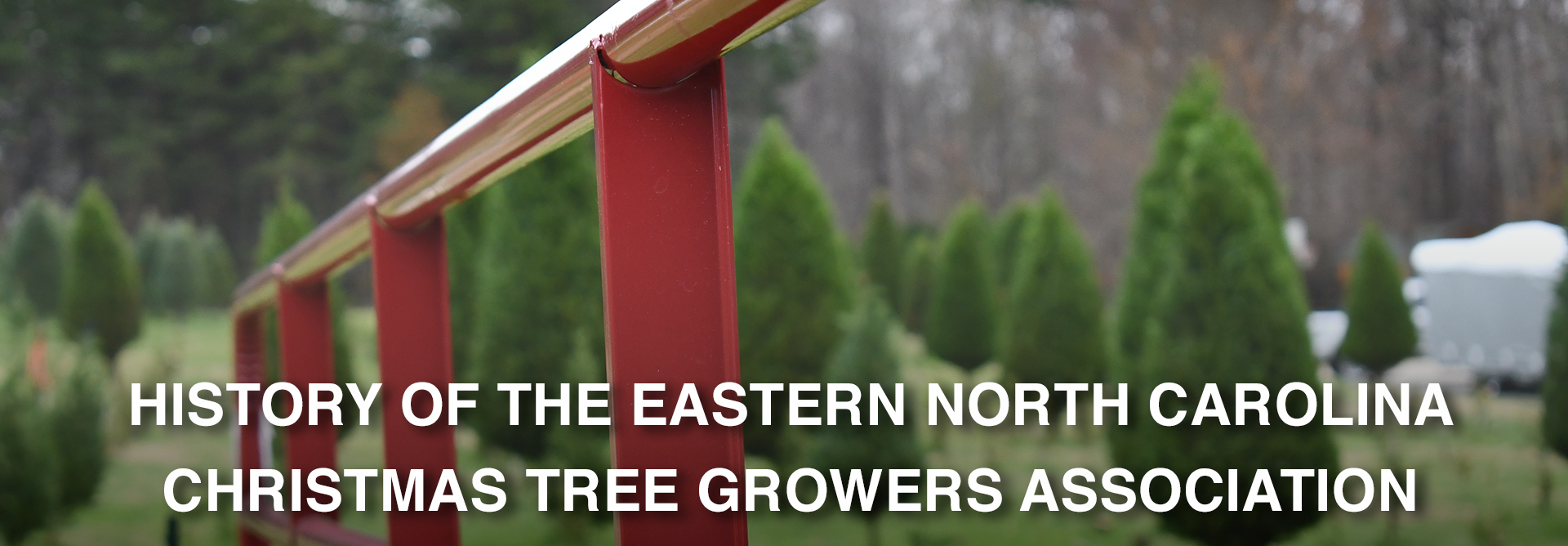 ENCCTGA History of Christmas Trees in Eastern North Carolina