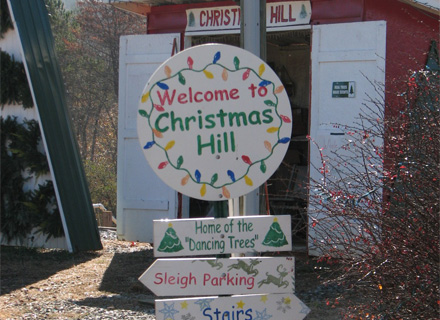 Christmas  Hill Tee Farm & Nursery