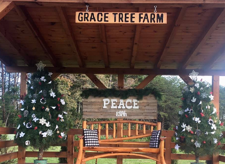 Grace Tree Farm