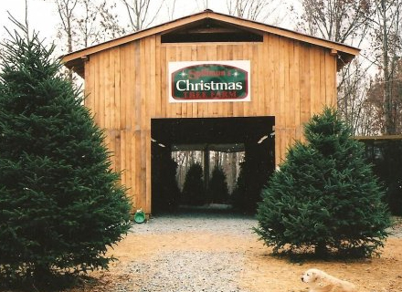 Spillman's Christmas Tree Farm